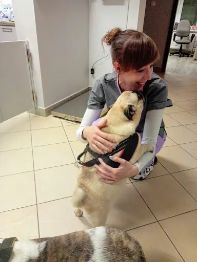 Przychodnia Weterynaryjna AVET s.c.